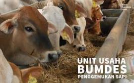 Peternakan dan Sewa, Tingkatkan Pendapatan BUMDes