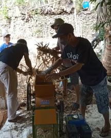 KKN USD ADAKAN PELATIHAN PEMBUATAN PAKAN TERNAK