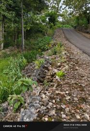 Talud Ambrol di Jalan Kabupaten Gunungkidu Jalur Alternatif Wisata Pantai Selatan Terdampak