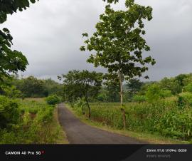 Pagi Mendung Selimuti Wilayah Botodayaan, Suasana Terasa Sejuk dan Tenang
