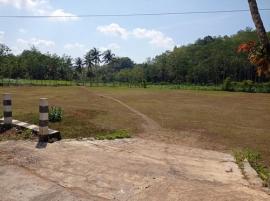 Potensi Olahraga Desa: Lapangan Sepak Bola Wuluh