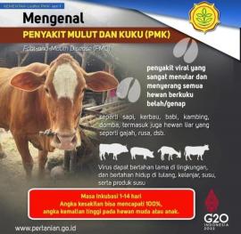 Ancaman PMK Masih Ada, Peternak Diminta Tingkatkan Kewaspadaan